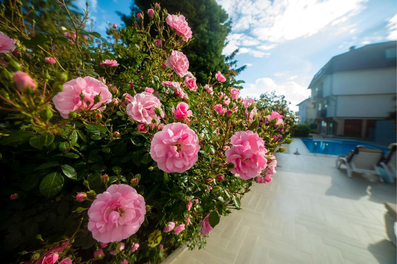 Villa Jordan Охрид Екстер'єр фото